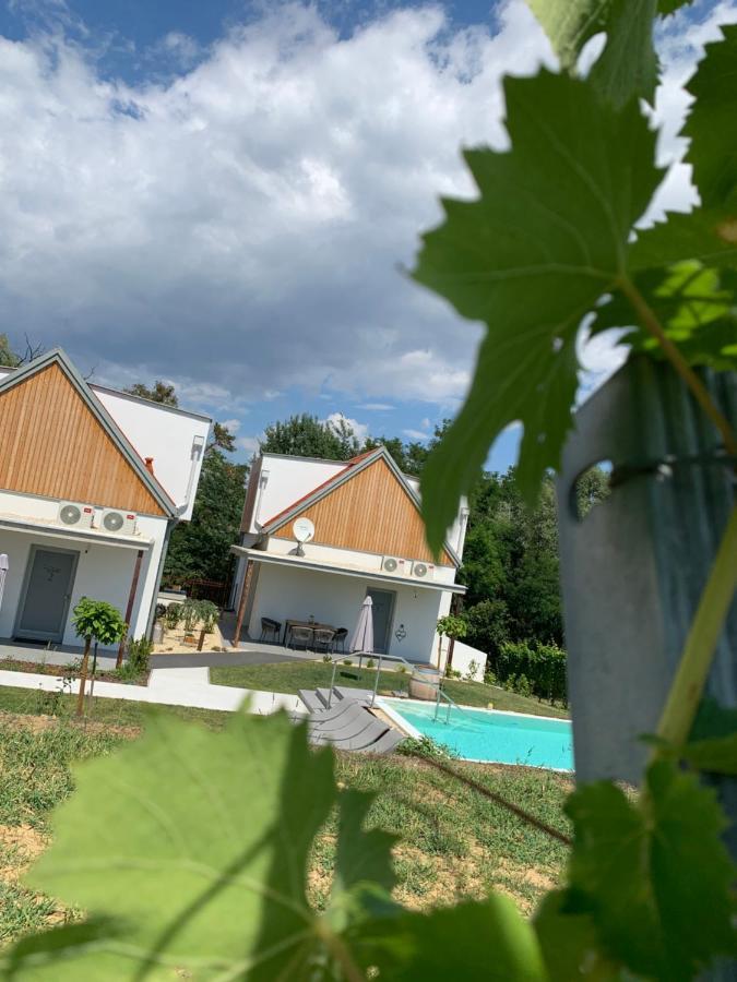 Weinberg Chalets Eisenberg an der Pinka Екстериор снимка